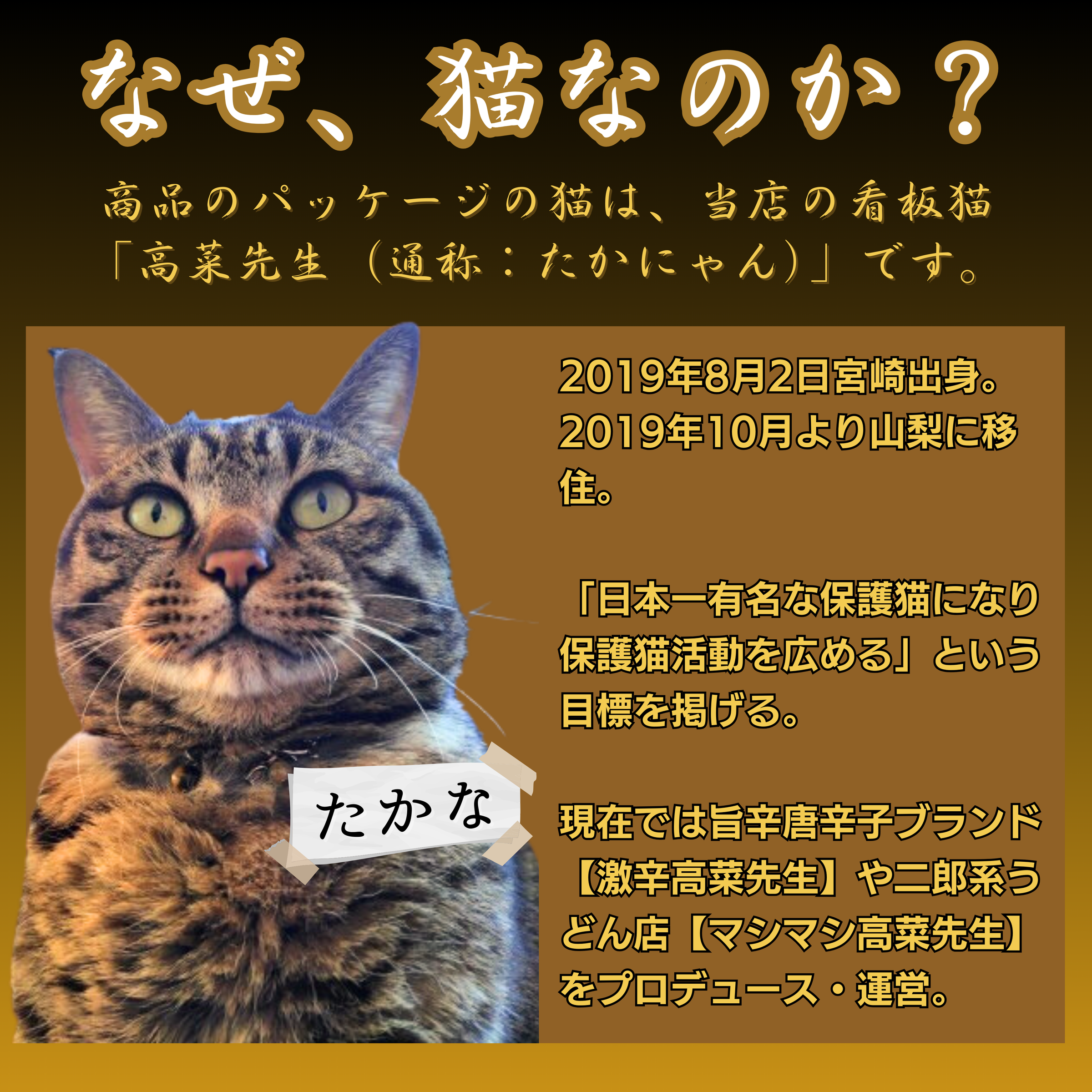 今日も旨辛日和。元祖旨辛カツオ唐辛子 (辛さLv.2) | 高菜先生の